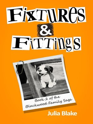 cover image of Fixtures & Fittings